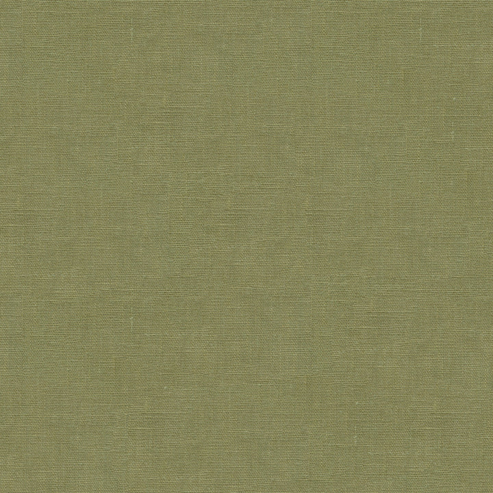 Dublin Lichen by Kravet Basics Fabric