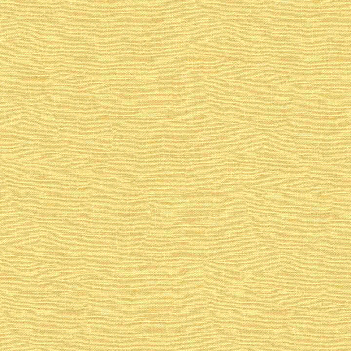 Dublin Harvest by Kravet Basics Fabric