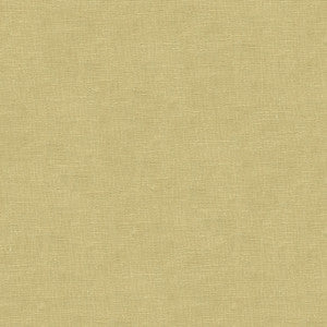Dublin Cider by Kravet Basics Fabric