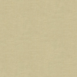 Dublin Natural by Kravet Basics Fabric