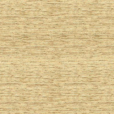 First Crush Latte by Kravet Couture Fabric