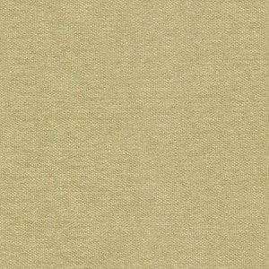 Mistik Reed by Kravet Couture Fabric
