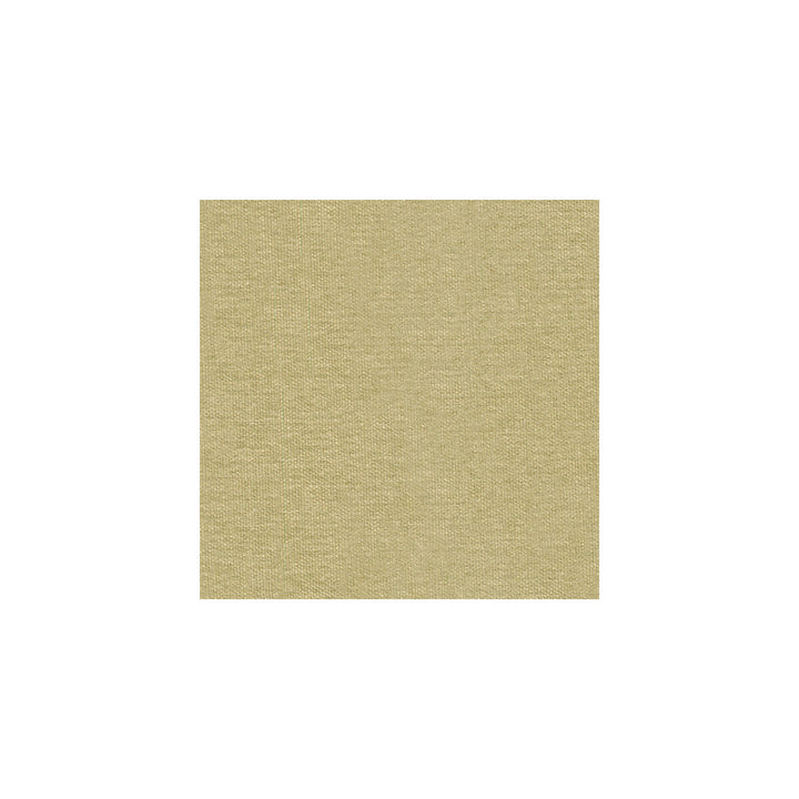 Mistik Reed by Kravet Couture Fabric CALVIN KLEIN COLLECTION COTTON - 64%;VISCOSE - 36% Italy HEAVY Horizontal: and Vertical: 55 - Fabric Carolina -
