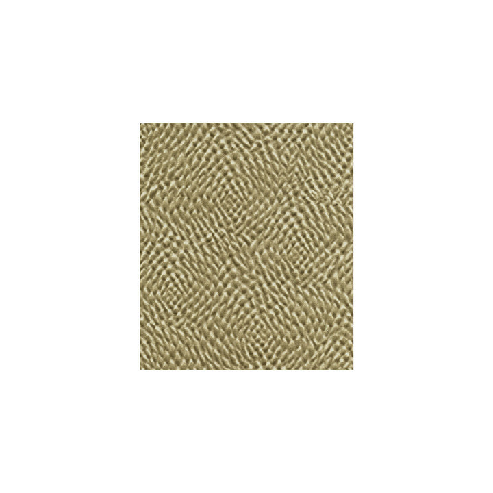 32405-106 by Kravet Couture Fabric COTTON - 46%;SILK - 28%;ACRYLIC - 26% India Horizontal: and Vertical: 51.5 - Fabric Carolina -