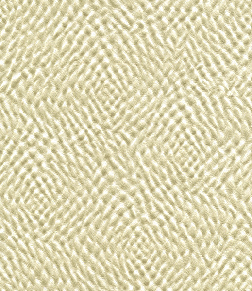 Kravet Couture 32405-1116 by Kravet Couture Fabric