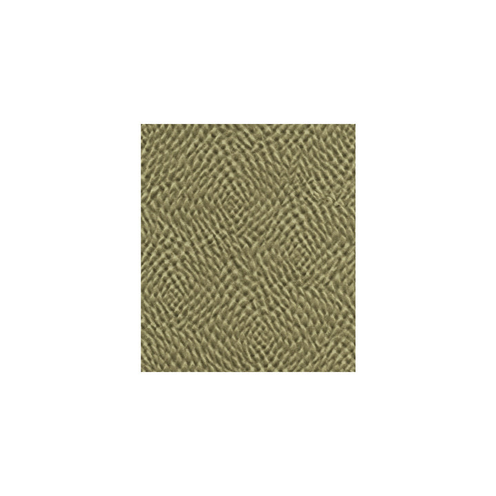 32405-30 by Kravet Couture Fabric COTTON - 46%;SILK - 28%;ACRYLIC - 26% India Horizontal: and Vertical: 51.5 - Fabric Carolina -