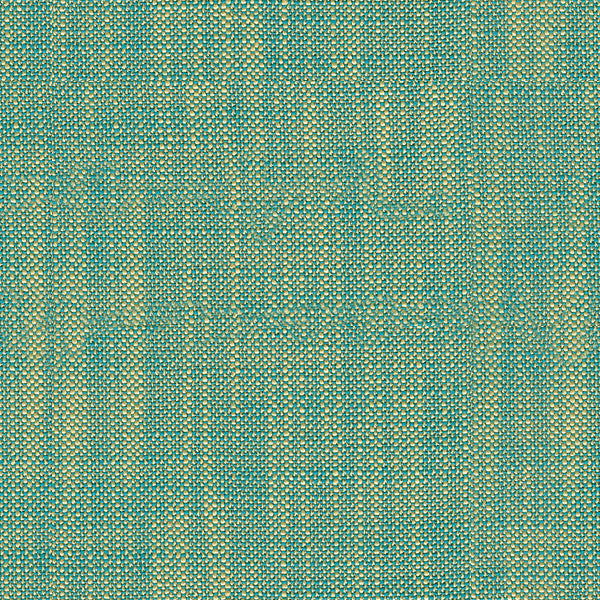 Bacio Capri by Kravet Basics Fabric
