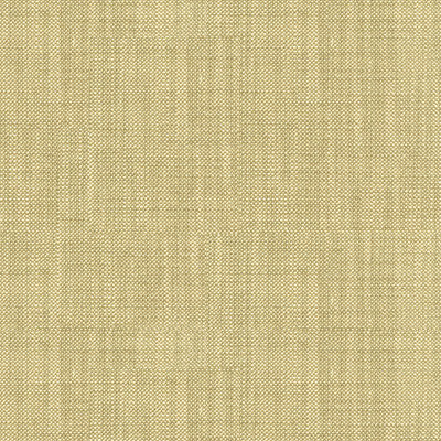Bacio Safari by Kravet Basics Fabric
