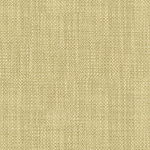 Bacio Safari by Kravet Basics Fabric