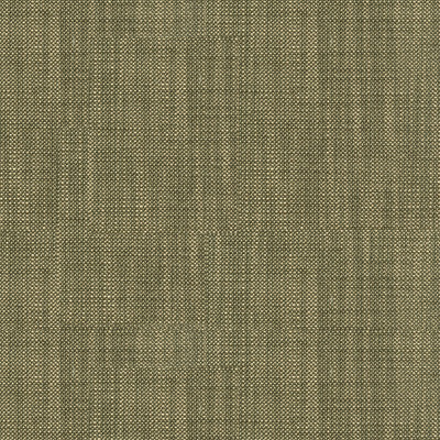 Bacio Coal by Kravet Basics Fabric