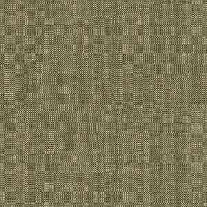 Bacio Coal by Kravet Basics Fabric