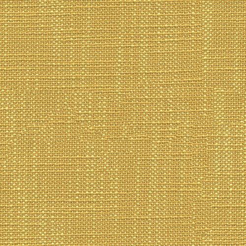 Bacio Saffron by Kravet Smart Fabric