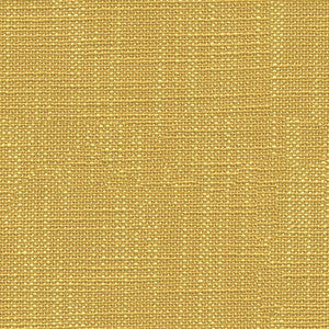 Bacio Saffron by Kravet Smart Fabric
