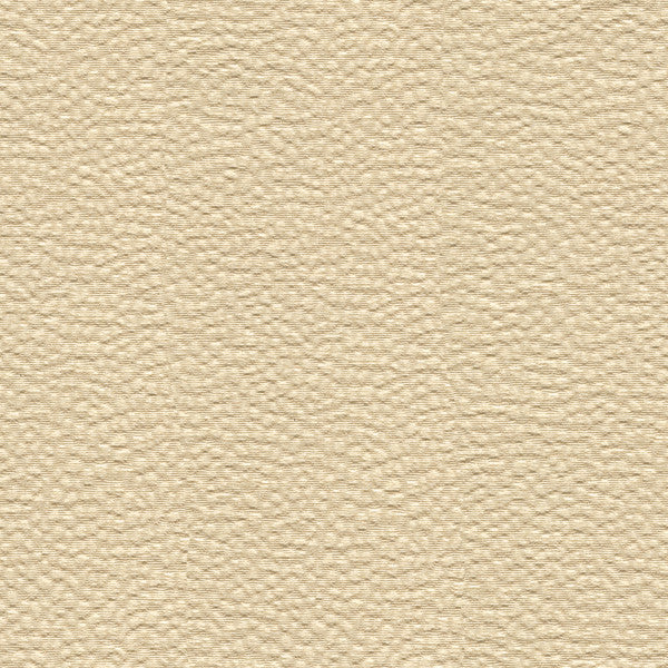 Nala Shell by Kravet Contract Fabric