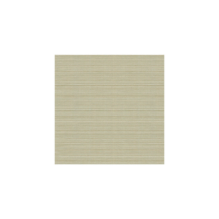 Campania Dove by Kravet Basics Fabric - COTTON - 64%;POLYESTER - 36% Taiwan LIGHT Horizontal: - and Vertical: - 54 - Fabric Carolina -