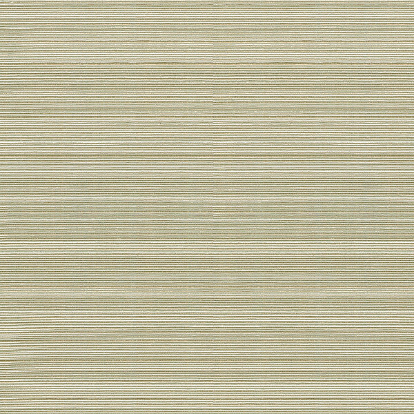 Campania Dove by Kravet Basics Fabric