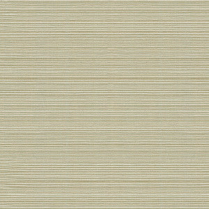 Campania Dove by Kravet Basics Fabric