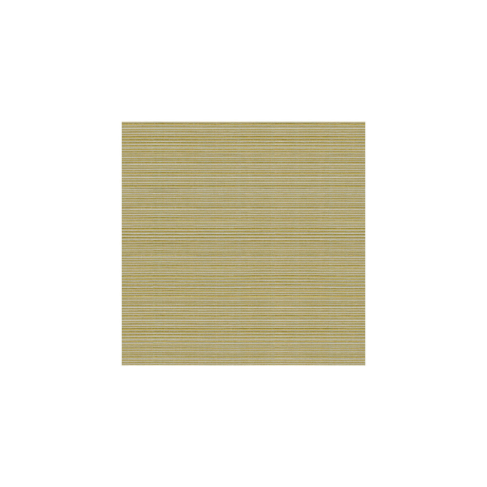 Campania Kiwi by Kravet Basics Fabric COTTON - 64%;POLYESTER - 36% Taiwan LIGHT Horizontal: and Vertical: 54 - Fabric Carolina -