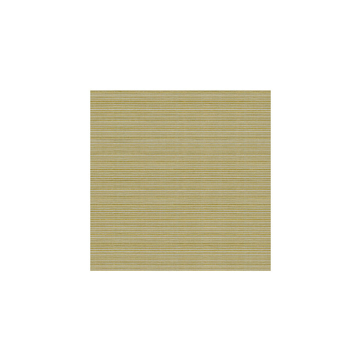 Campania Kiwi by Kravet Basics Fabric - COTTON - 64%;POLYESTER - 36% Taiwan LIGHT Horizontal: - and Vertical: - 54 - Fabric Carolina -