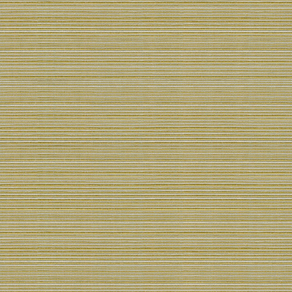 Campania Kiwi by Kravet Basics Fabric