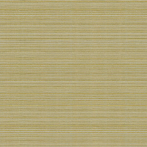 Campania Kiwi by Kravet Basics Fabric