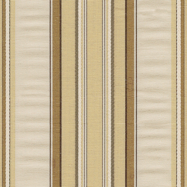 Bologna Dune by Kravet Basics Fabric