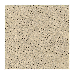 Animal Allure Sterling by Kravet Couture Fabric
