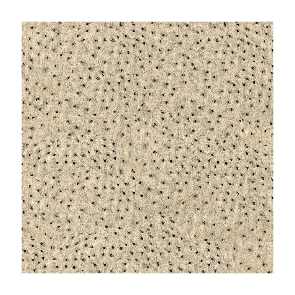 Animal Allure Sterling by Kravet Couture Fabric Kravet Couture Fabric Animal Allure SterlingFabric MODERN LUXE VISCOSE - 60%;COTTON - 31%;POLYESTER - 9% Italy </p><p>Repeat: H: 13, V: 6.5 55 - Fabric Carolina -