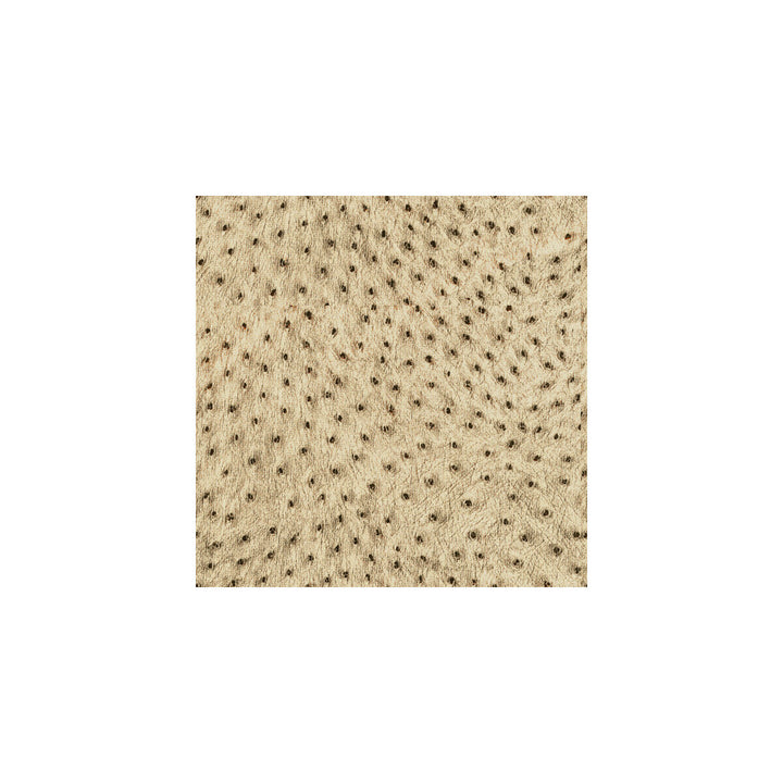 Animal Allure Copper by Kravet Couture Fabric MODERN LUXE VISCOSE - 60%;COTTON - 31%;POLYESTER - 9% Italy LIGHT Horizontal: 13 and Vertical: 6.5 55 - Fabric Carolina -
