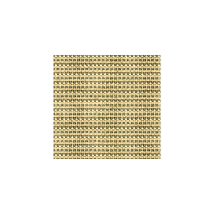 Kravet Design 32555-1611 by Kravet Design Fabric Kravet Design Fabric Kravet Design 32555-1611Fabric GIS RAYON - 70%;POLYESTER - 30% United States </p><p>Repeat: H: , V: 56 - Fabric Carolina -