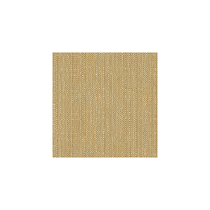 32556-16 by Kravet Design Fabric GIS RAYON - 46%;POLYESTER - 31%;COTTON - 22%;NYLON - 1% United States HEAVY Horizontal: - and Vertical: - 55.5 - Fabric Carolina -