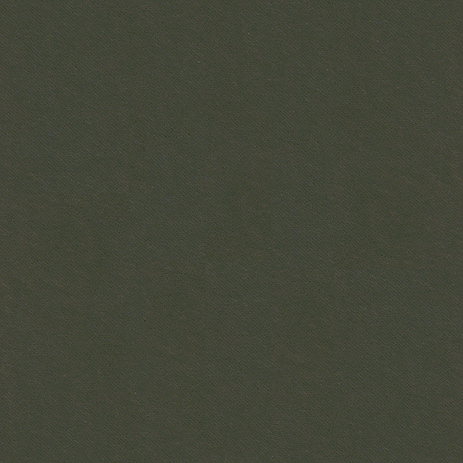 32565.2121 by Kravet Smart Designer Fabric - Polyester 83%, Cotton 17% Korea, Republic of Heavy H" -, V: - 55 inches  - Swanky Fabrics -  Kravet Smart