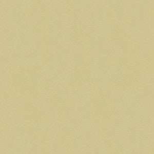 Kravet Smart 32565-116 by Kravet Smart Fabric