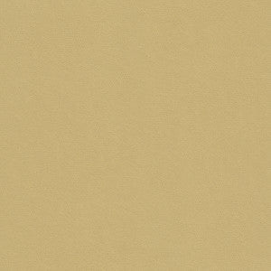 Kravet Smart 32565-16 by Kravet Smart Fabric