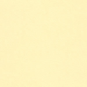 Kravet Smart 32565-1 by Kravet Smart Fabric