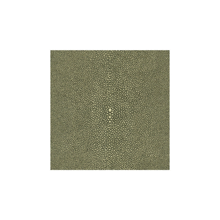 32591-81 by Kravet Design Fabric COTTON - 37%;NYLON - 36%;POLYESTER - 27% United States HEAVY Horizontal: 9 and Vertical: 9 53 - Fabric Carolina -