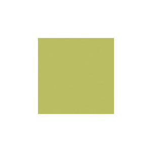 Flirt Prairie by Kravet Basics Fabric