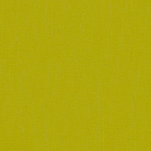 Flirt Turtle by Kravet Basics Fabric