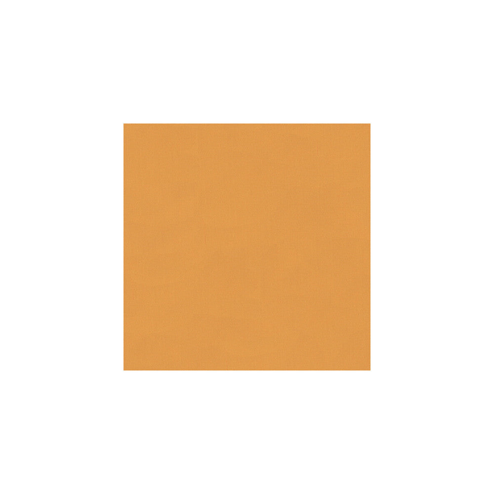 Sizzle Apricot by Kravet Basics Fabric Kravet Basics Fabric Sizzle ApricotFabric PERFECT PLAINS POLYESTER - 46%;VISCOSE - 28%;LUREX - 26% India </p><p>Repeat: H: , V: 54 - Fabric Carolina -