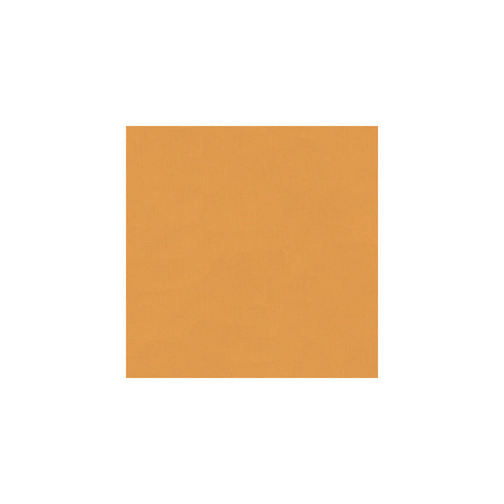Sizzle Apricot by Kravet Basics Fabric PERFECT PLAINS POLYESTER - 46%;VISCOSE - 28%;LUREX - 26% India HEAVY Horizontal: - and Vertical: - 54 - Fabric Carolina -