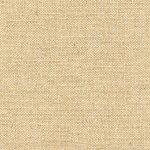 Kravet Basics 32616-116 by Kravet Basics Fabric