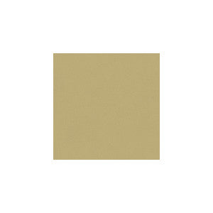 Broadmoor Dune by Kravet Basics Fabric