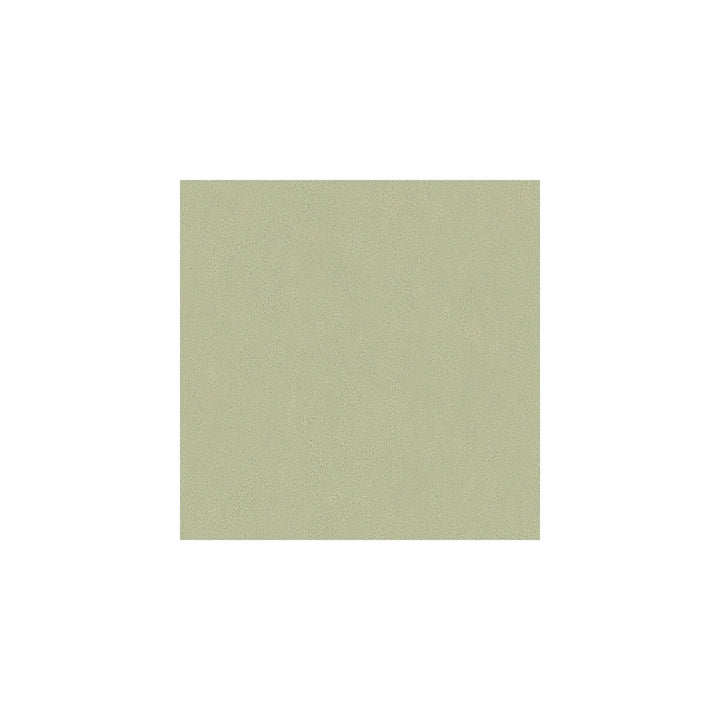 Broadmoor Silver by Kravet Basics Fabric PERFECT PLAINS POLYESTER - 100% China HEAVY Horizontal: - and Vertical: - 54 - Fabric Carolina -
