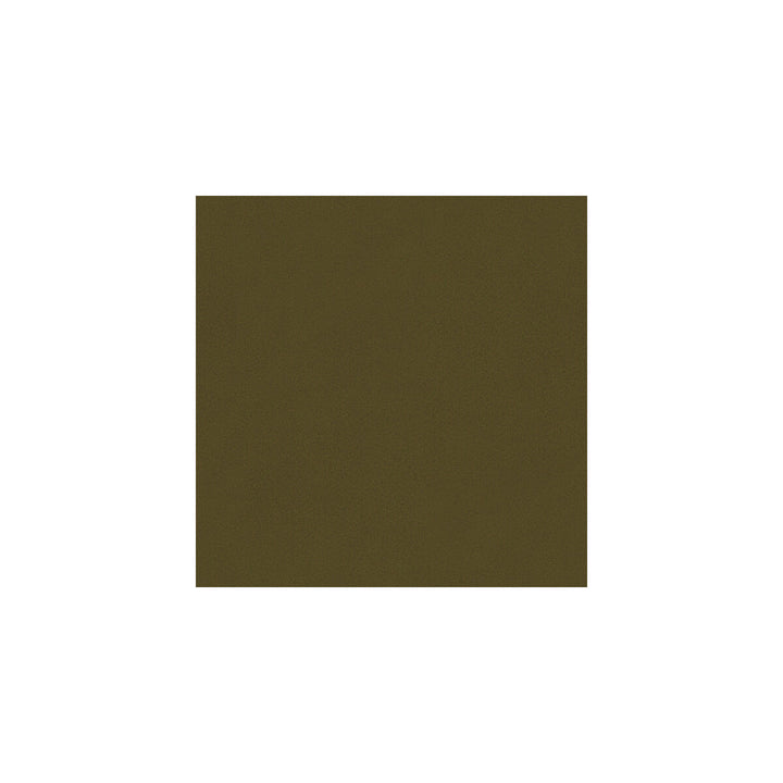 Broadmoor Stallion by Kravet Basics Fabric PERFECT PLAINS POLYESTER - 100% China HEAVY Horizontal: - and Vertical: - 54 - Fabric Carolina -
