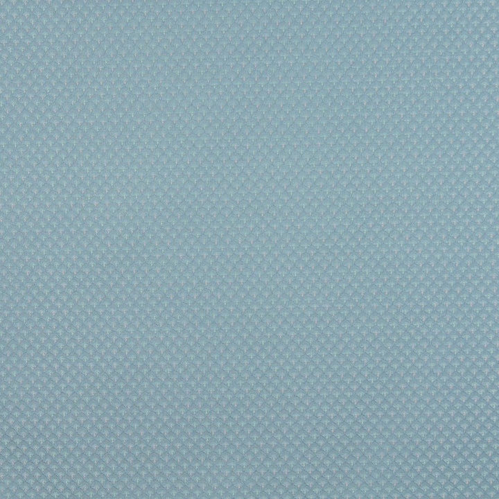 3270 Wedgewood by Charlotte Fabric Ring Book Page #217 56% Rayon, 34% Polyester, 10% Cotton Made In USA Exceeds 70,000 Wyzenbeek Rubs (Heavy Duty) Horizontal: 0.75" x Vertical: 0.75" 54 Inches - Fabric Carolina -