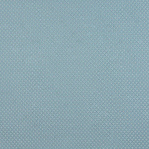 3270 Wedgewood by Charlotte Fabric