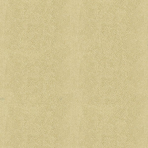 Chic Shagreen White Gold by Kravet Couture Fabric
