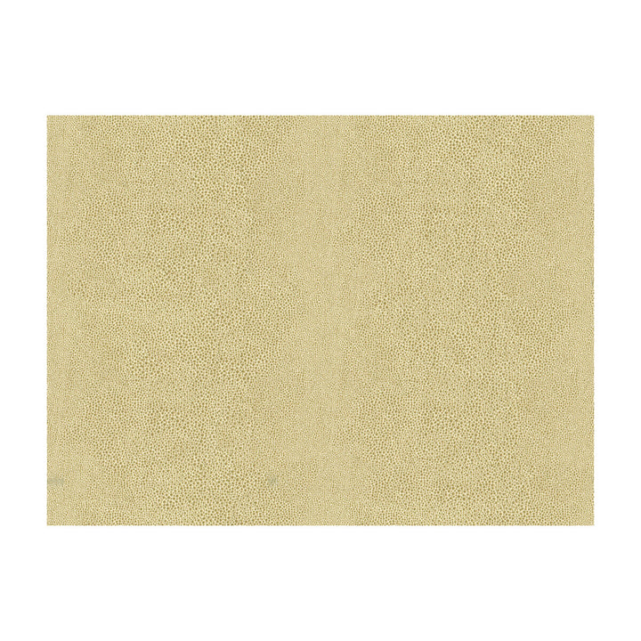 Chic Shagreen White Gold by Kravet Couture Fabric Kravet Couture Fabric Chic Shagreen White GoldFabric MODERN LUXE POLYESTER - 82%;COTTON - 18% Italy </p><p>Repeat: H: 13.5, V: 55 - Fabric Carolina -