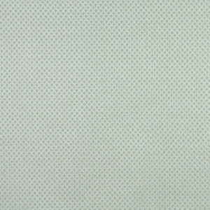 3273 Celadon by Charlotte Fabric