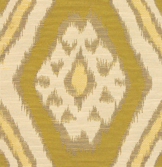 Rigi Citron by Kravet Basics Fabric